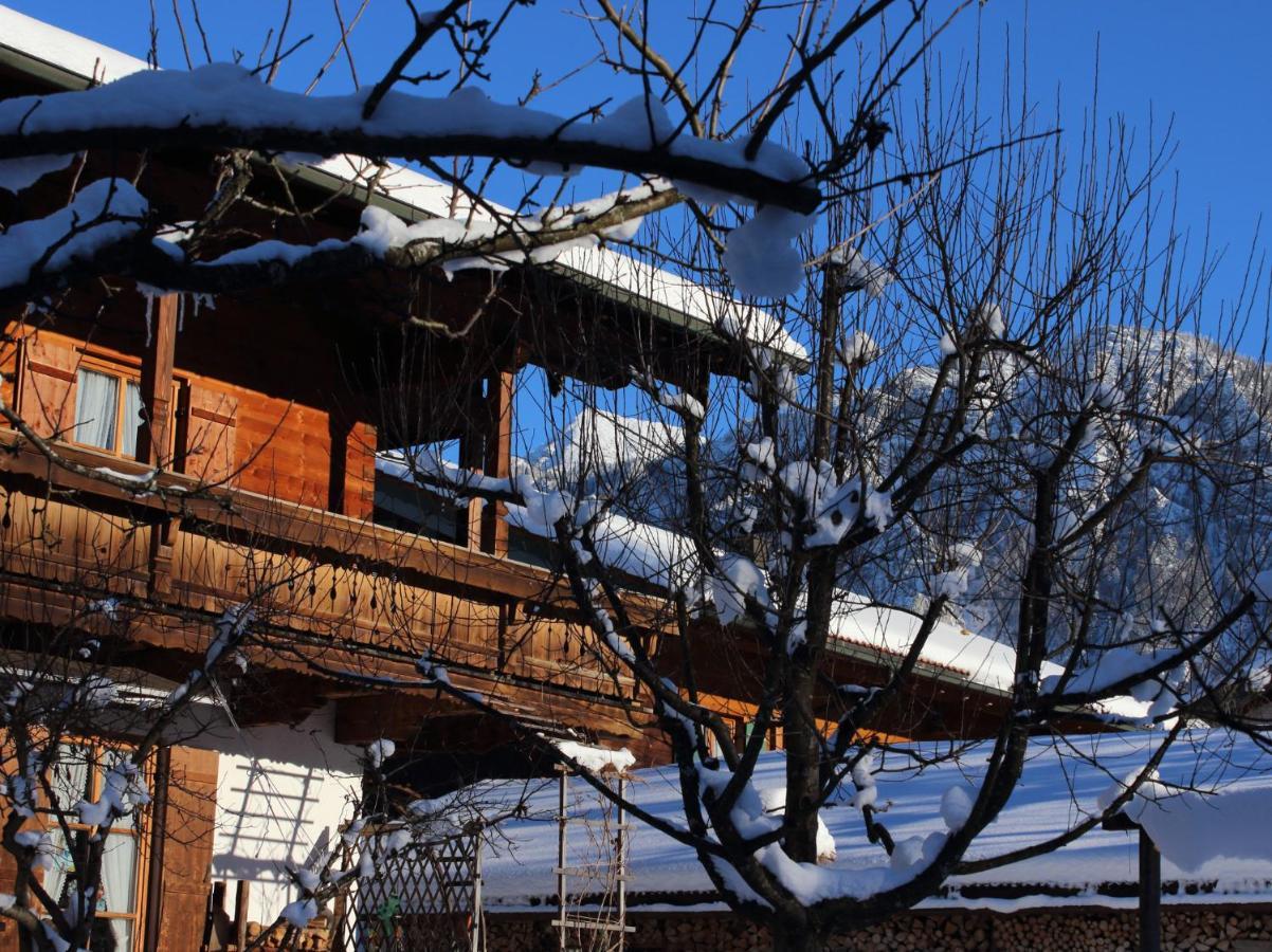 Appartement Gastehaus Kress - Chiemgau Karte à Inzell Extérieur photo